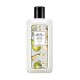 MISSHA All Over Perfumed Body Wash (Pear & Rose) – Sprchový gel s dlouhotrvající vůní hrušky a růže (I3006)